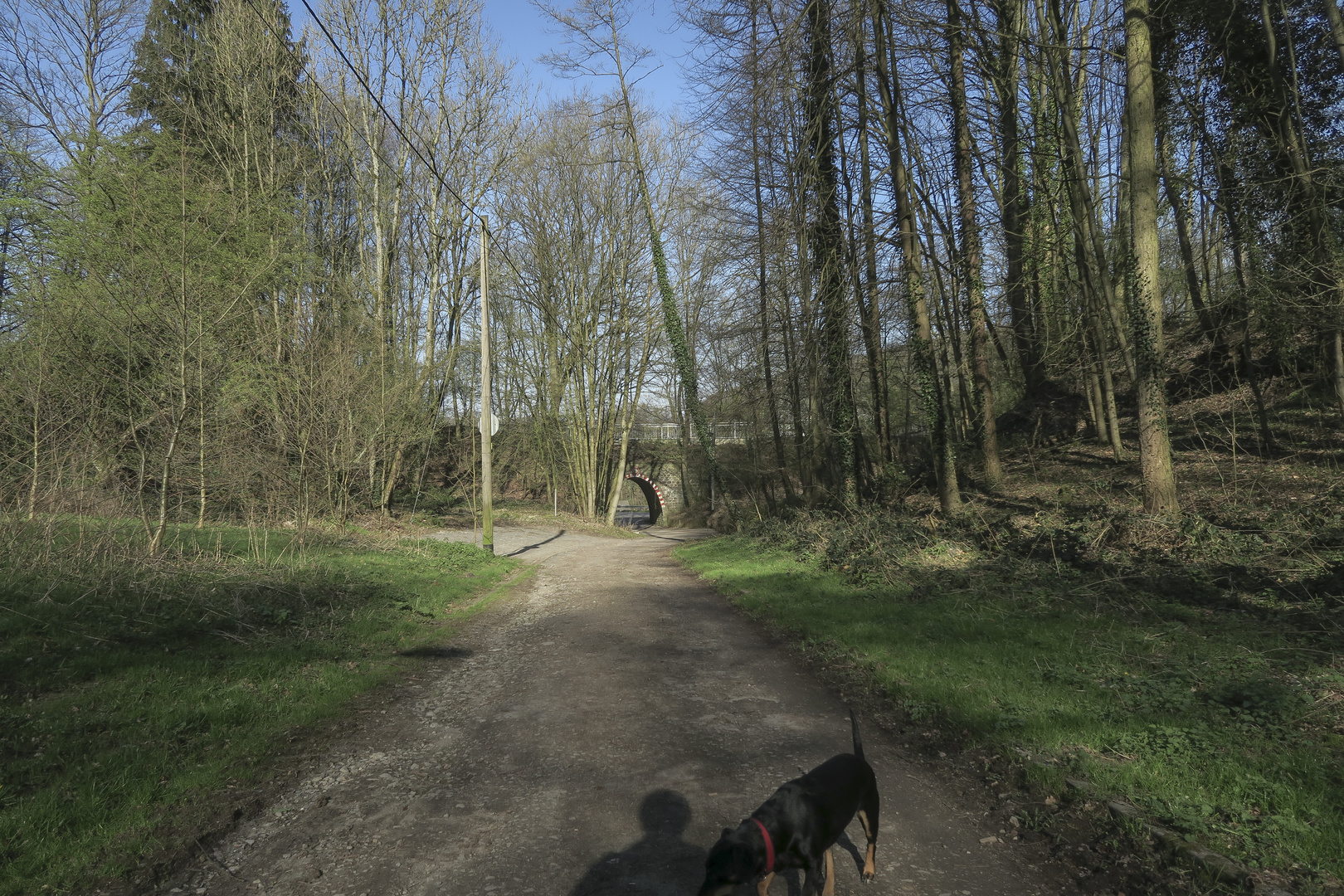 Ich mühevoll titelnd: "Zugang zum Stadtwald am Sünsbruch", Hund: "Der hat doch nen Schatten!"