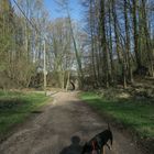 Ich mühevoll titelnd: "Zugang zum Stadtwald am Sünsbruch", Hund: "Der hat doch nen Schatten!"