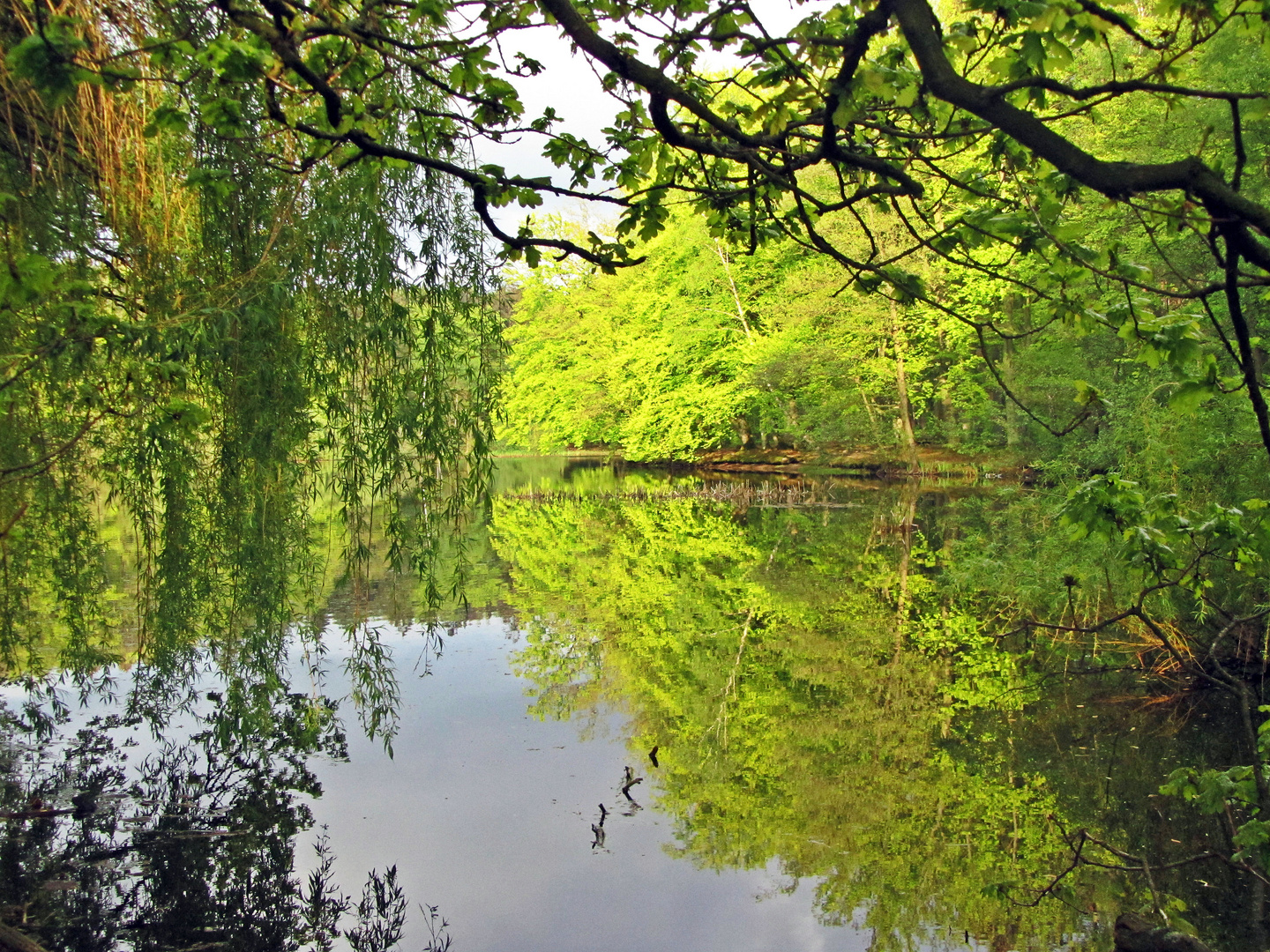 Ich nenne ihn mein Zaubersee.