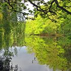 Ich nenne ihn mein Zaubersee.