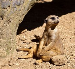 Ich?? Och, ich sitz hier nur so rum...