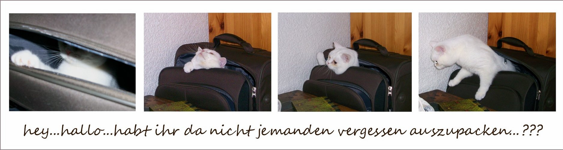 Ich packe meinen Koffer...