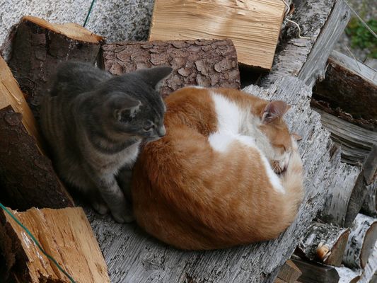 Ich pass auf dich auf