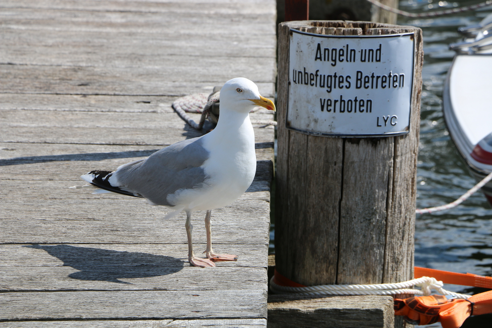 " ich passe auf..."