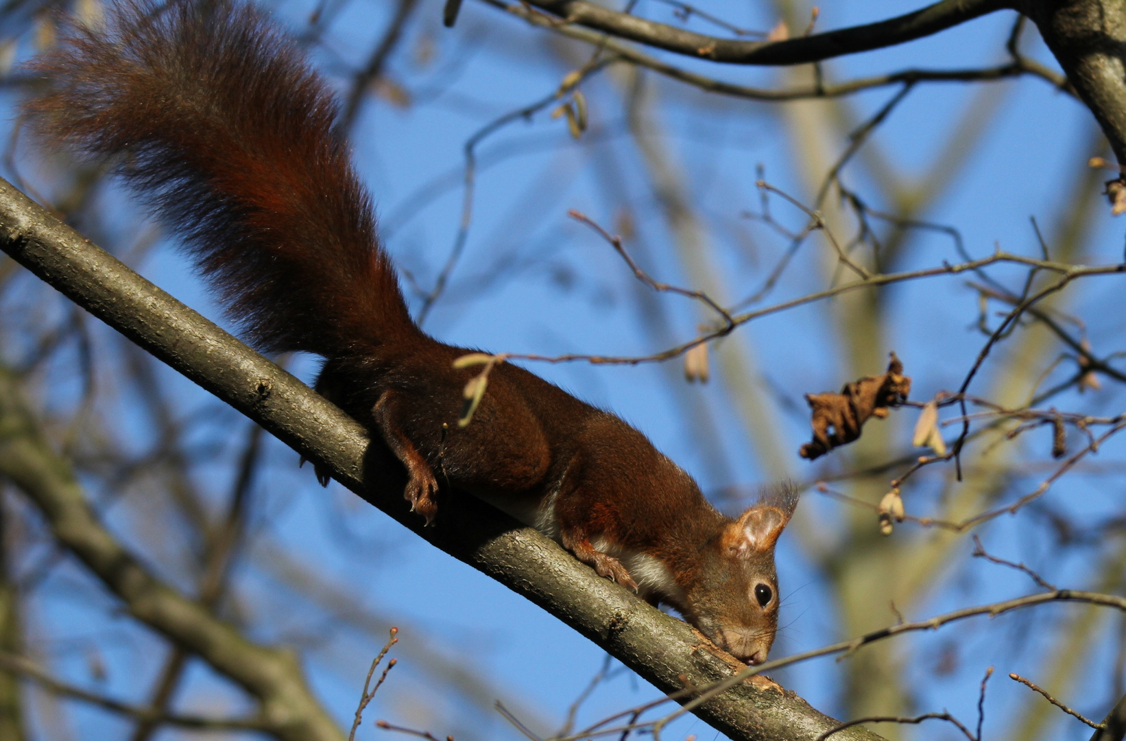 Ich rieche den Frühling;-)