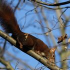 Ich rieche den Frühling;-)