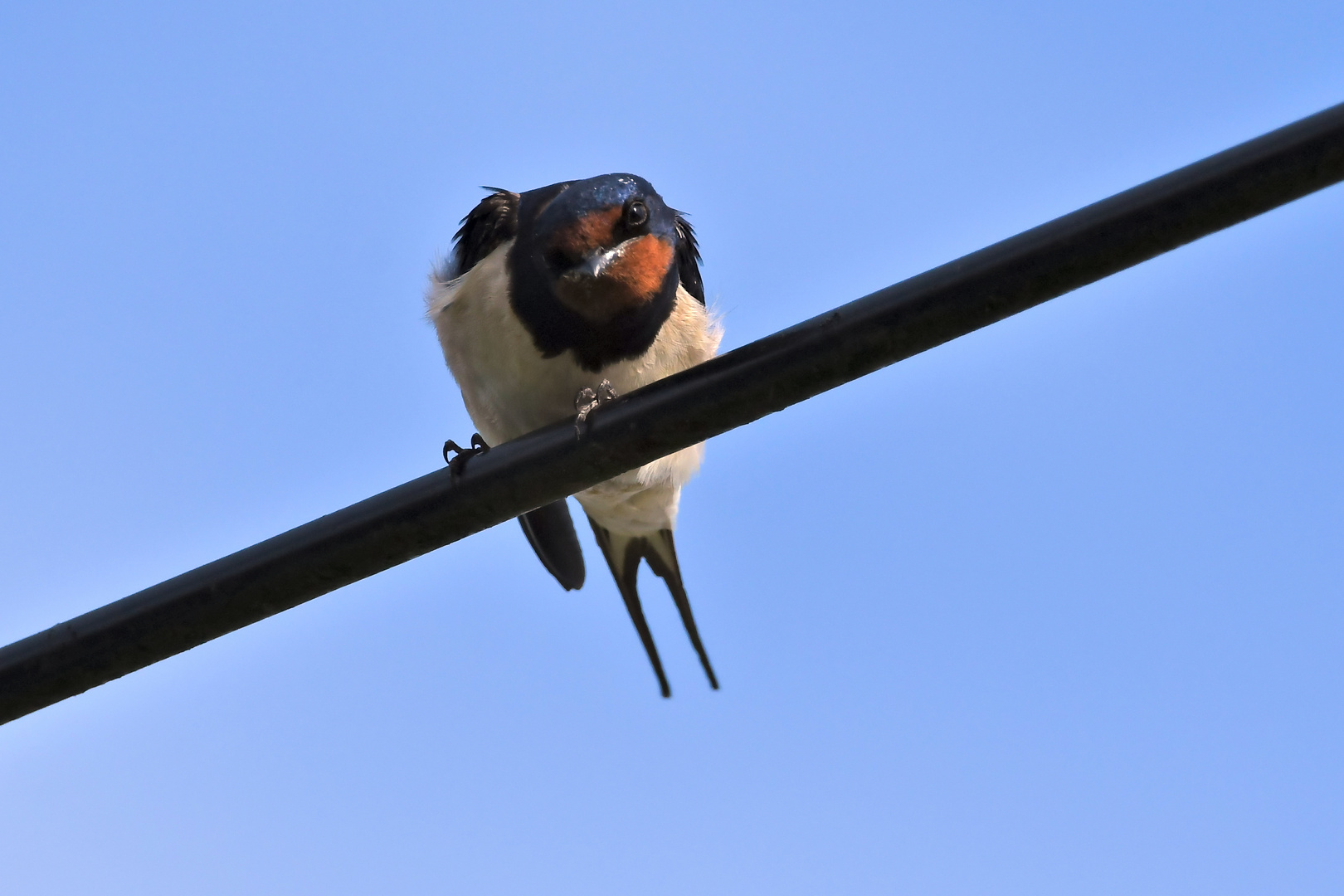 Ich riskier mal ´nen Blick