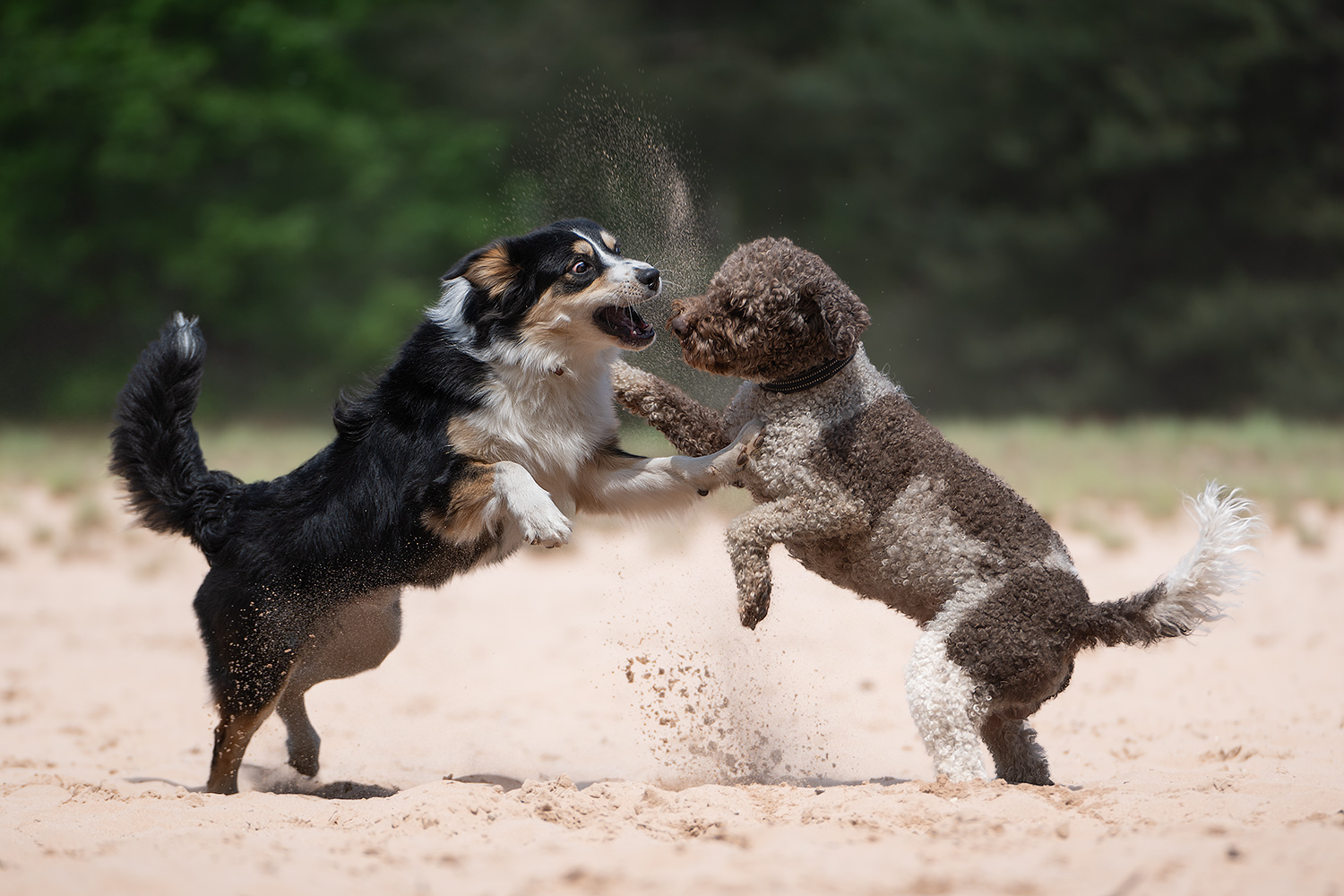 Ich sag meiner Mama, dass Du mit Sand schmeißt!