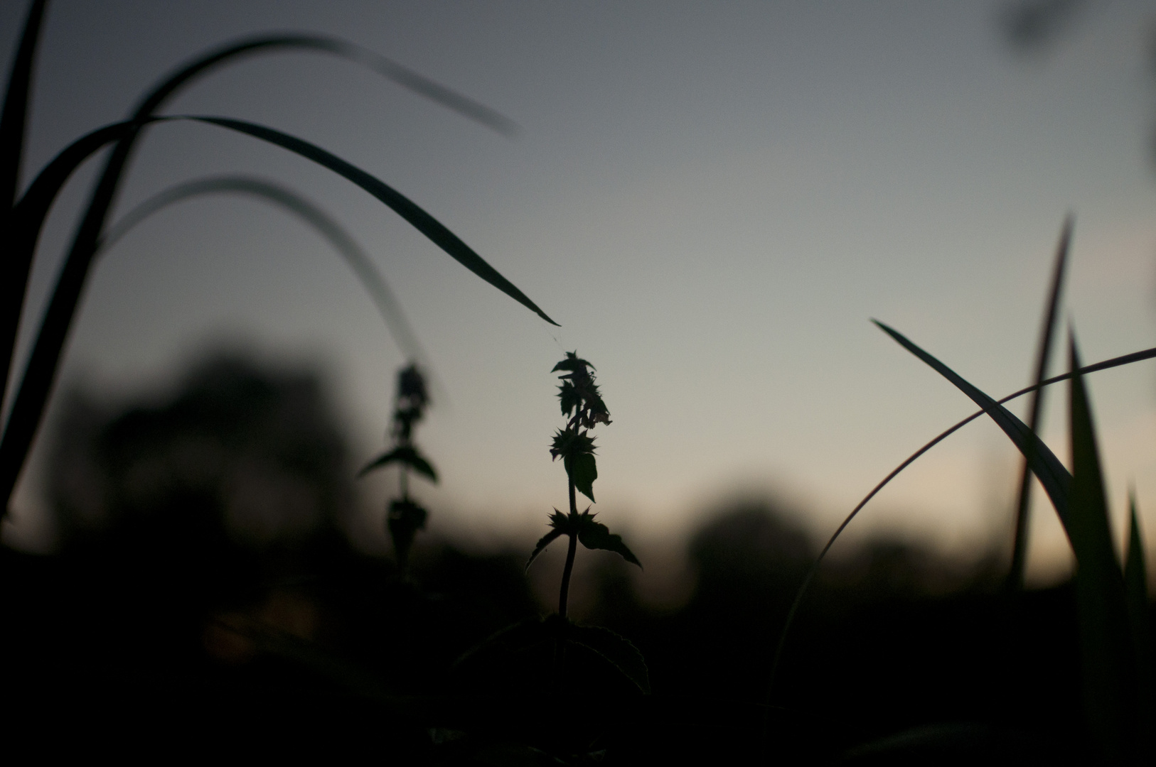 Ich sag nur Silhouette