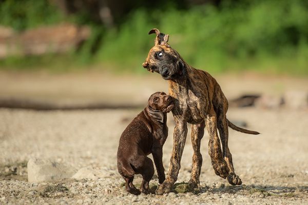 Ich sag´s nicht nochmal!!