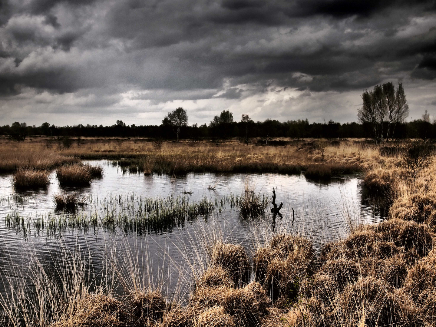 Ich sah noch nie ein Moor...