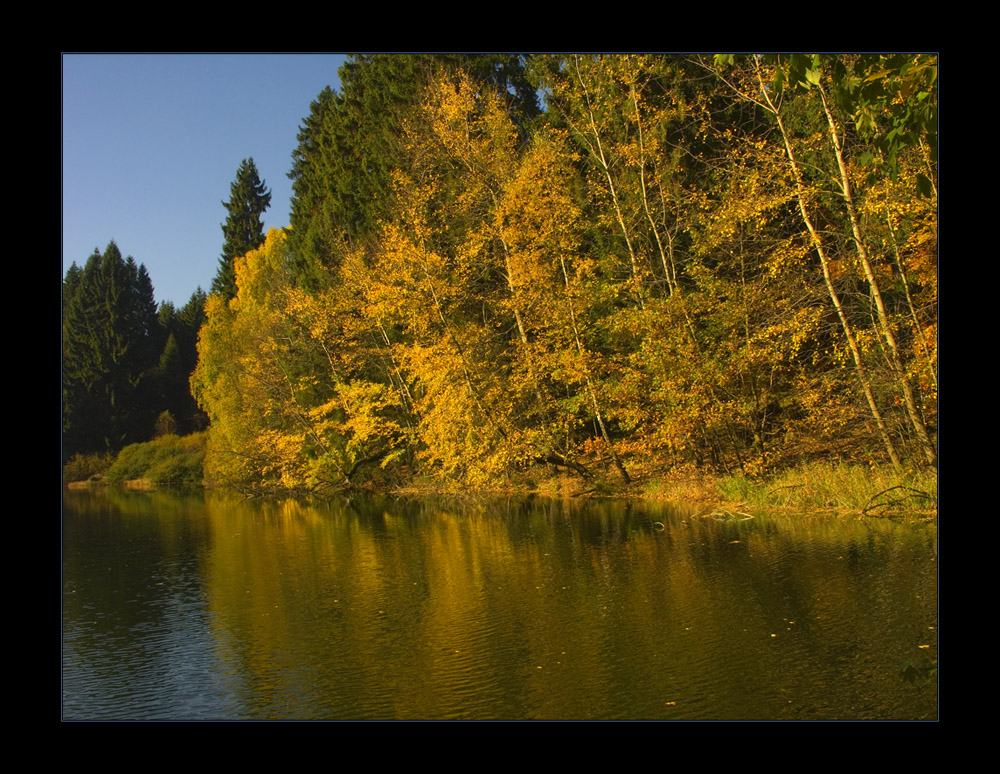 Ich saß im Herbst am Waldteich...