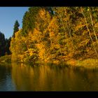 Ich saß im Herbst am Waldteich...