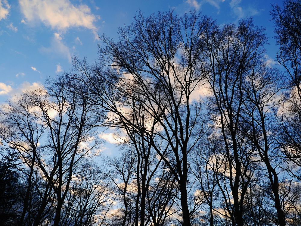 ... ich schau den weißen Wolken nach !