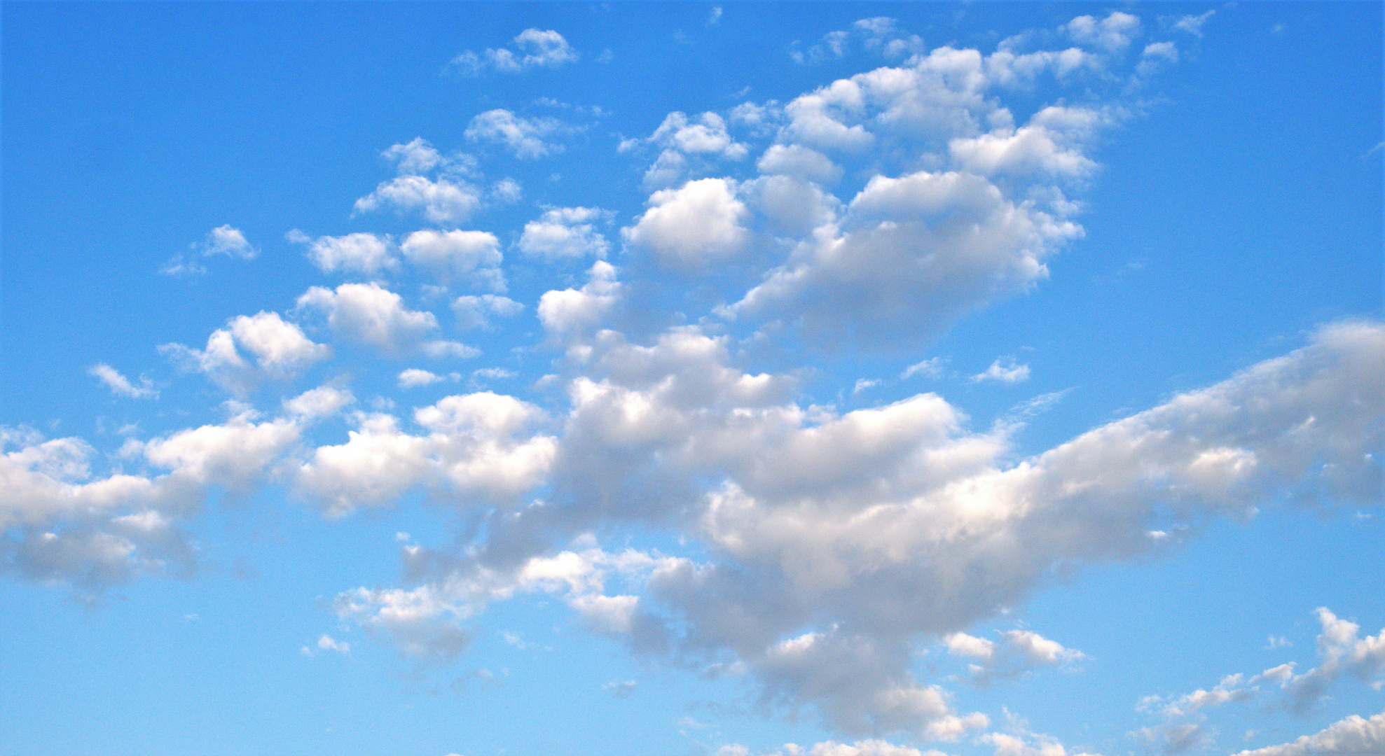 Ich schau den weißen Wolken nach...