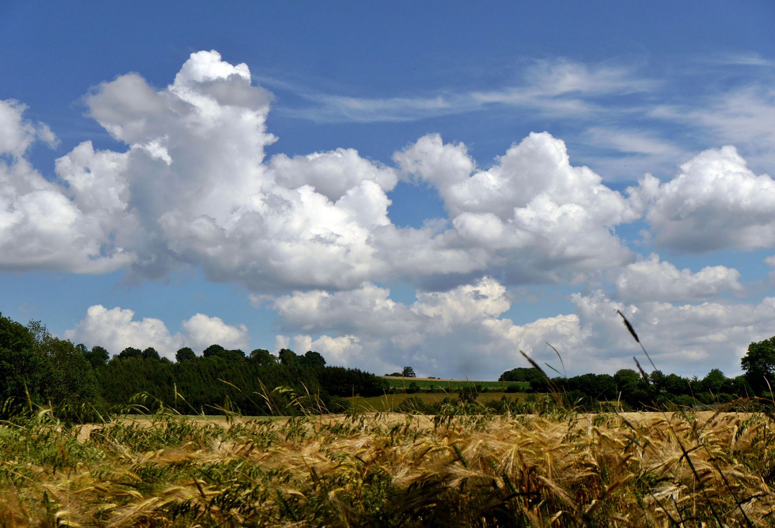 Ich schau den weißen Wolken nach ...