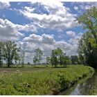 Ich schau den weißen Wolken nach