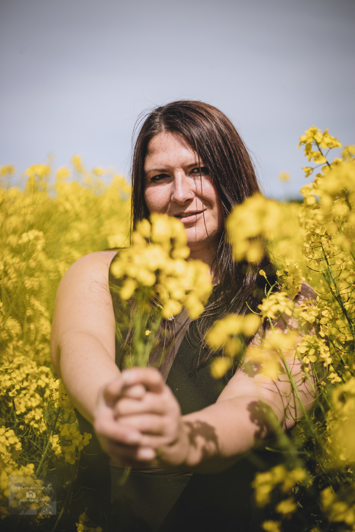 Ich schenk dir ein paar gelbe Blumen 