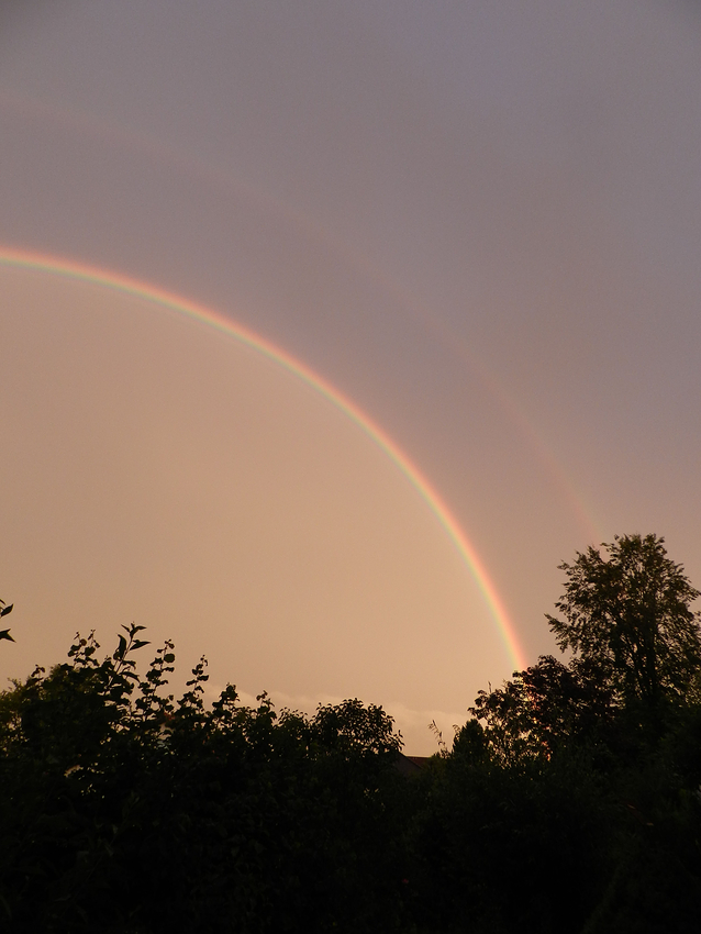 Ich schenk Dir einen Regenbogen