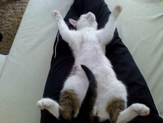 Ich schlaf wo und wie ich will