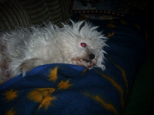 Ich schlafe in der Steckdose