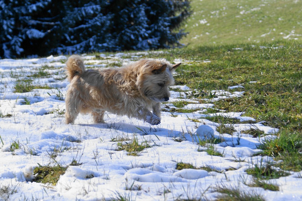 "Ich schnapp dich!"