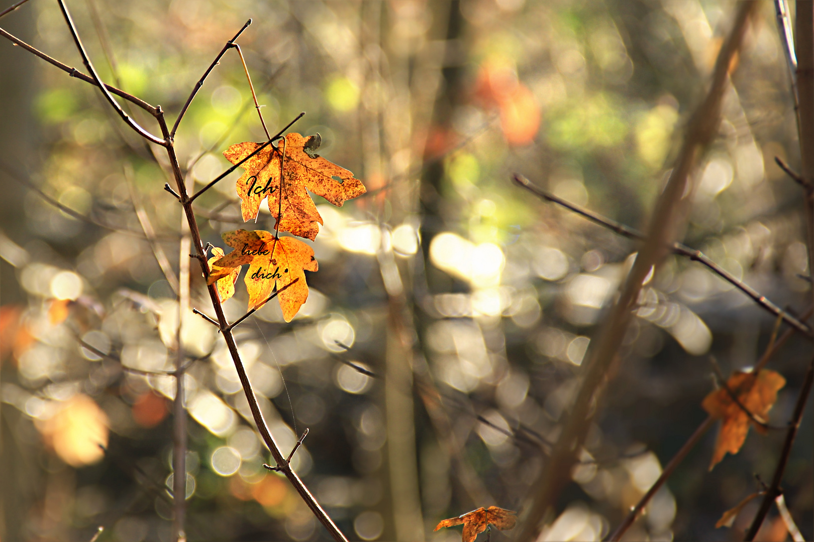 Ich schreib`s an jedes Blatt...