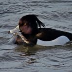 Ich schwimm nun ins Wochenende