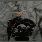 Ich schwimme hier! Na und?