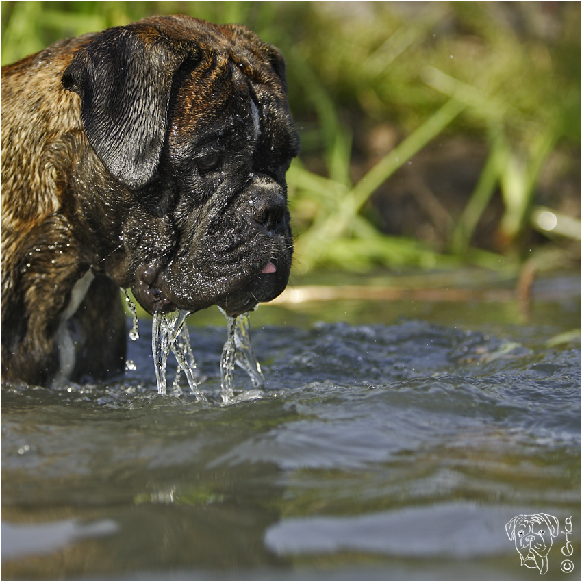 ich schwimme nicht