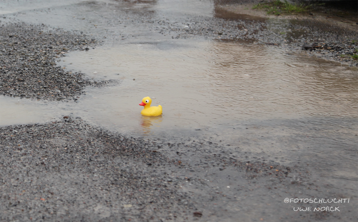 ich schwimme so alleine ...