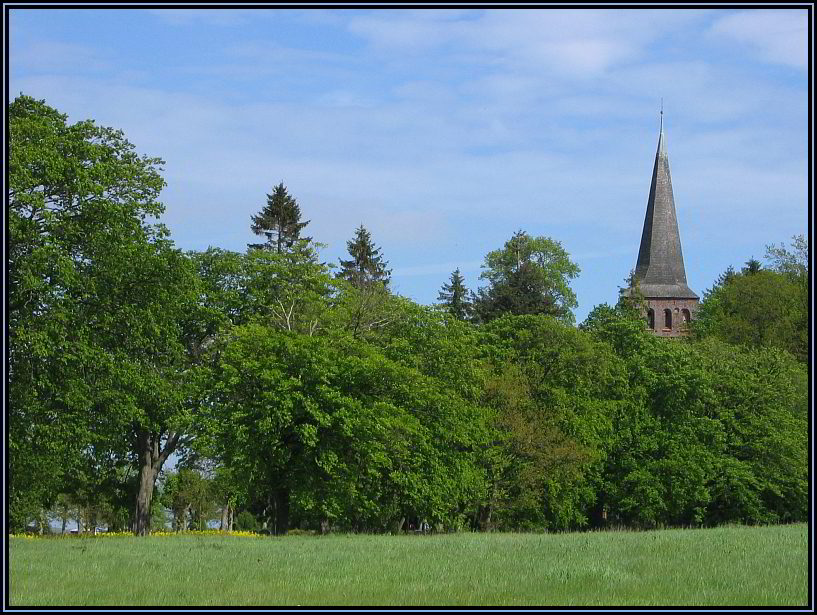 Ich seh den Turm vor lauter Wald nicht....