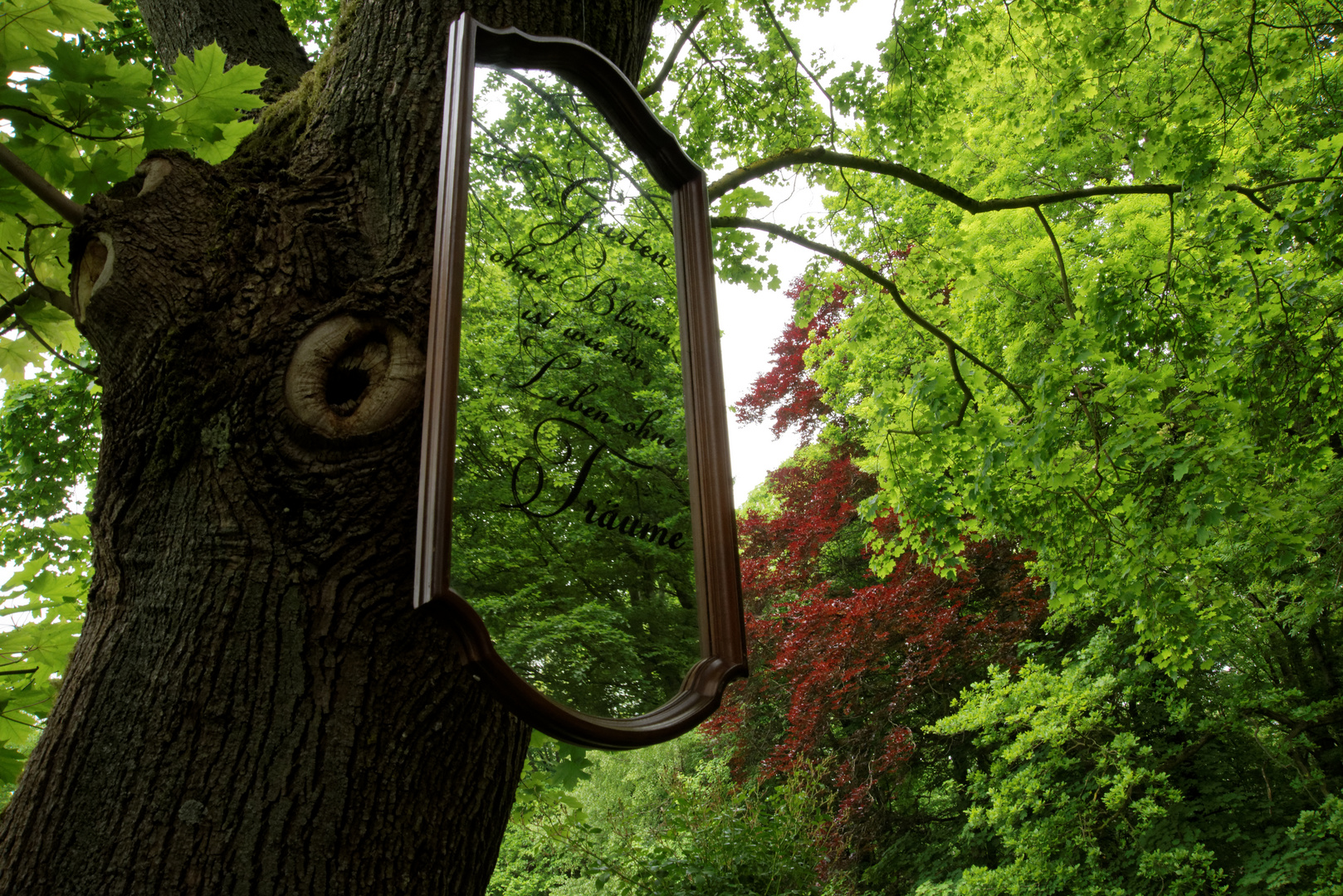 Ich seh' den Wald vor lauter Spiegel nicht