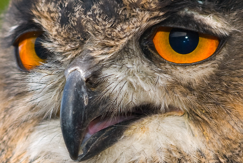 Ich seh' Dir in die Augen....Kleines