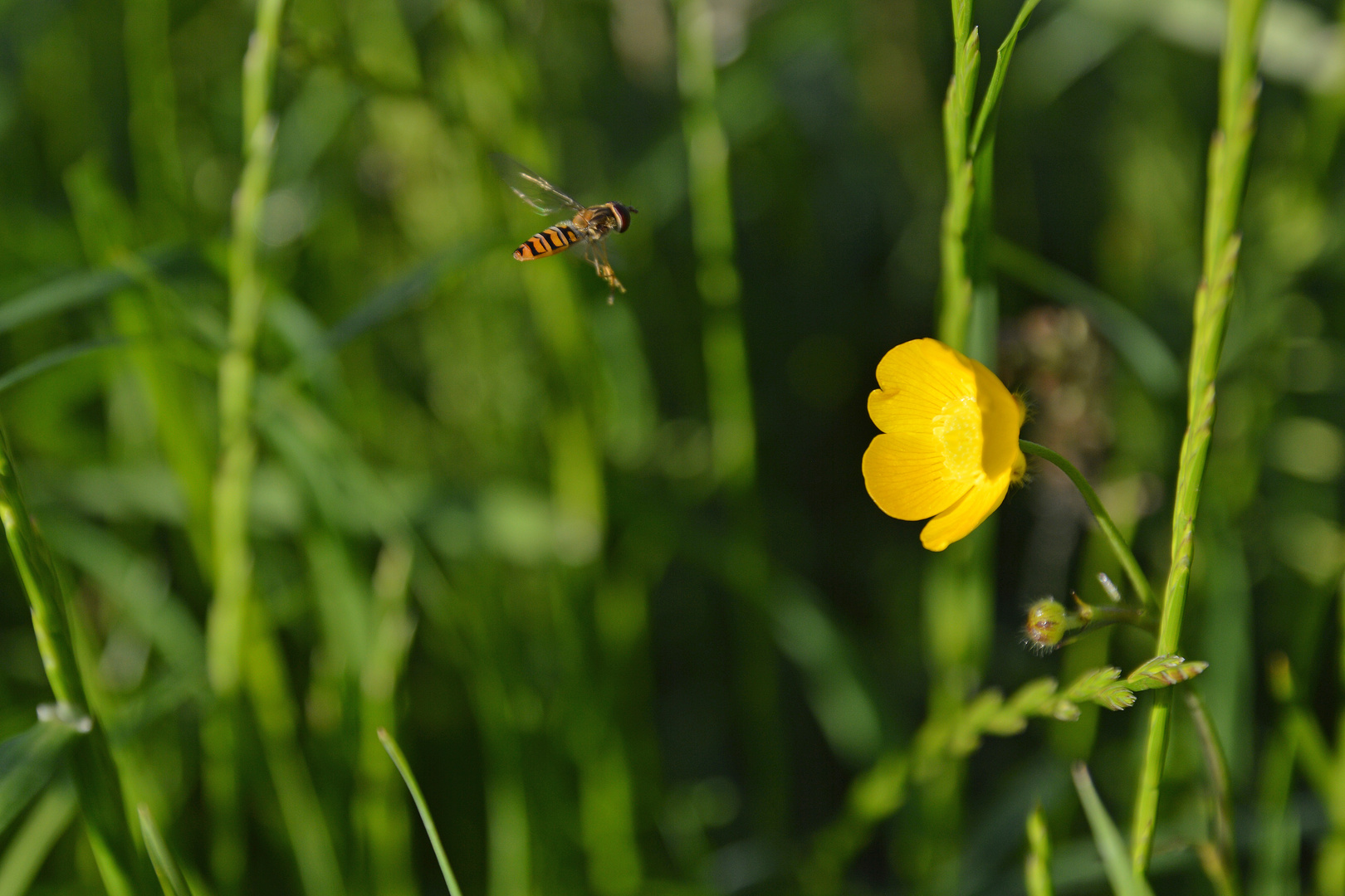 Ich sehe das Ziel! / I can see the goal!