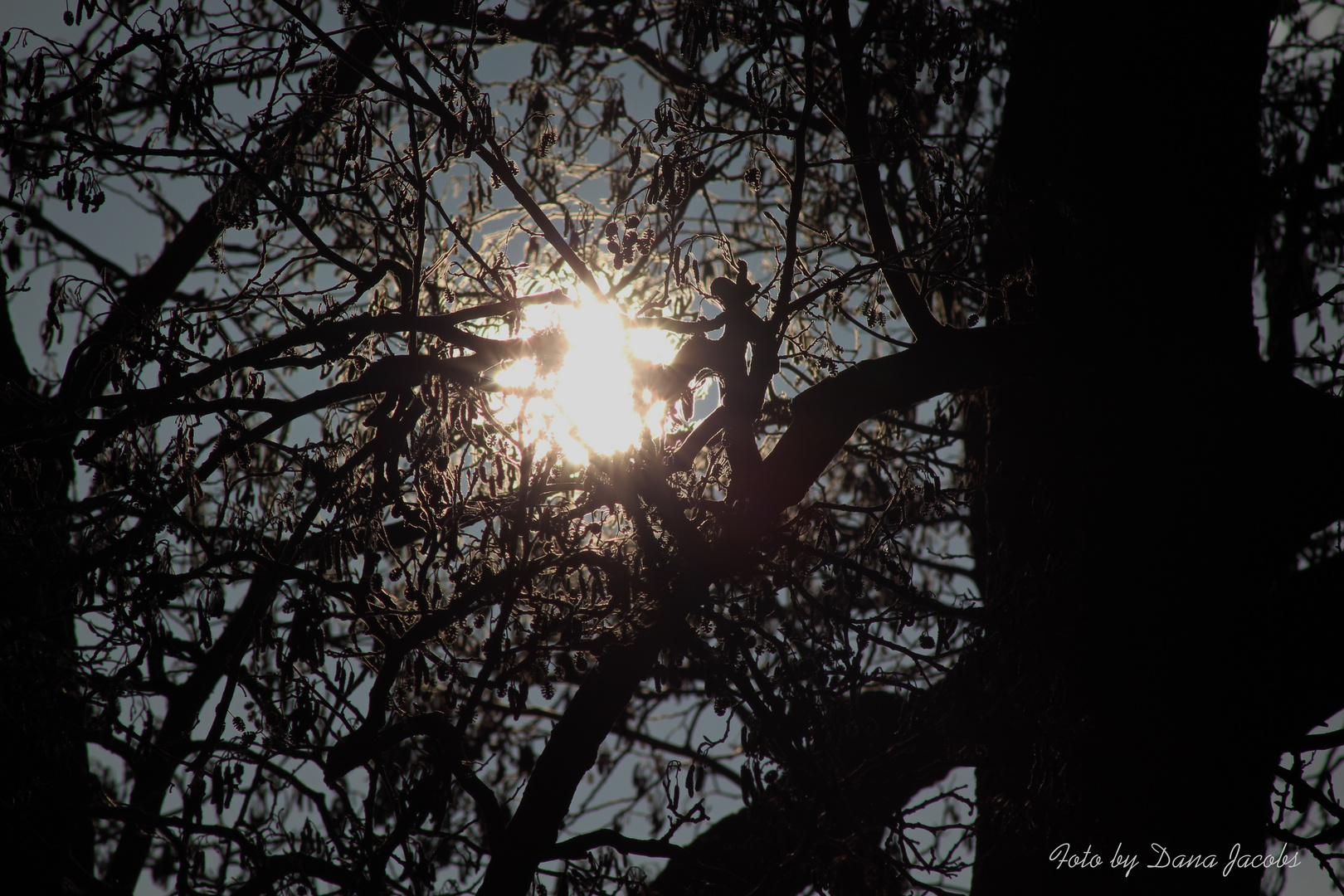 Ich sehe die Sonne und was siehst Du ?