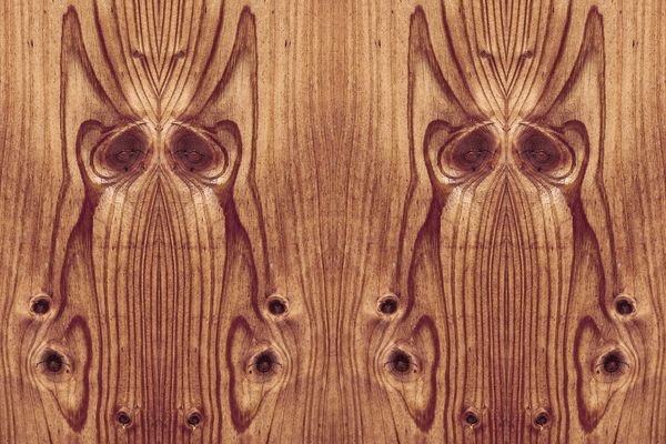 Ich sehe was, was du nicht siehst ...