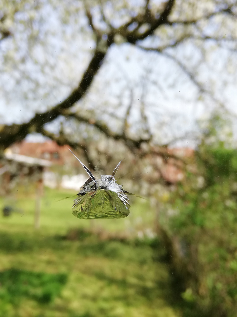 Ich sehe was - was seht ihr? 