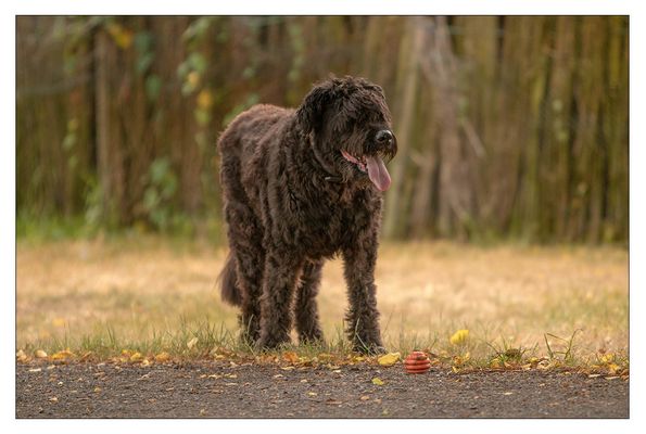 „Ich sehe zwar nicht so aus, aber ich sehe Euch!" :o)