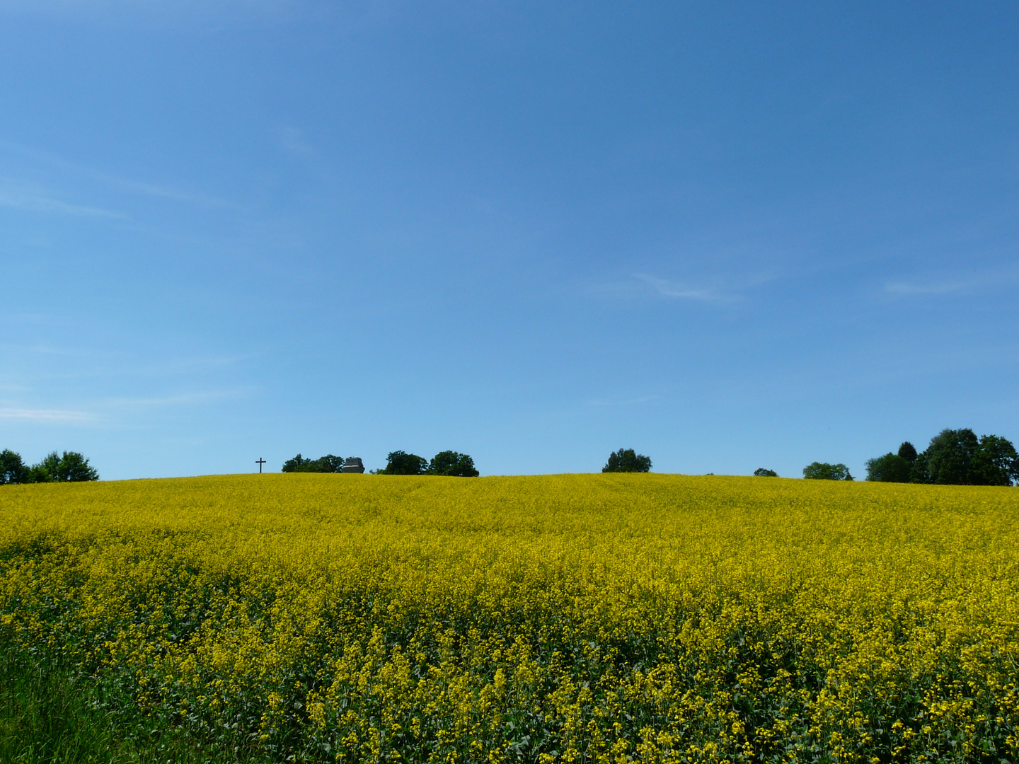 ich sehne mich nach dem Sommer..