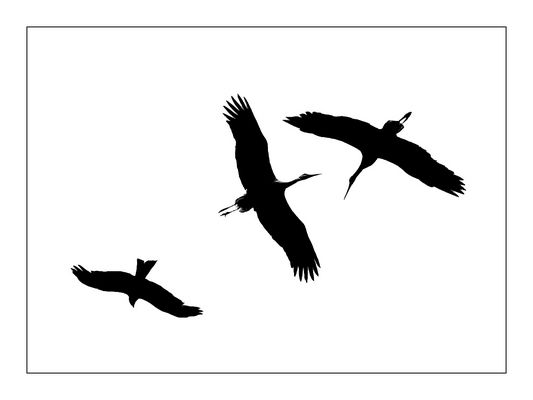 Ich sei in euerm Bunde der Dritte