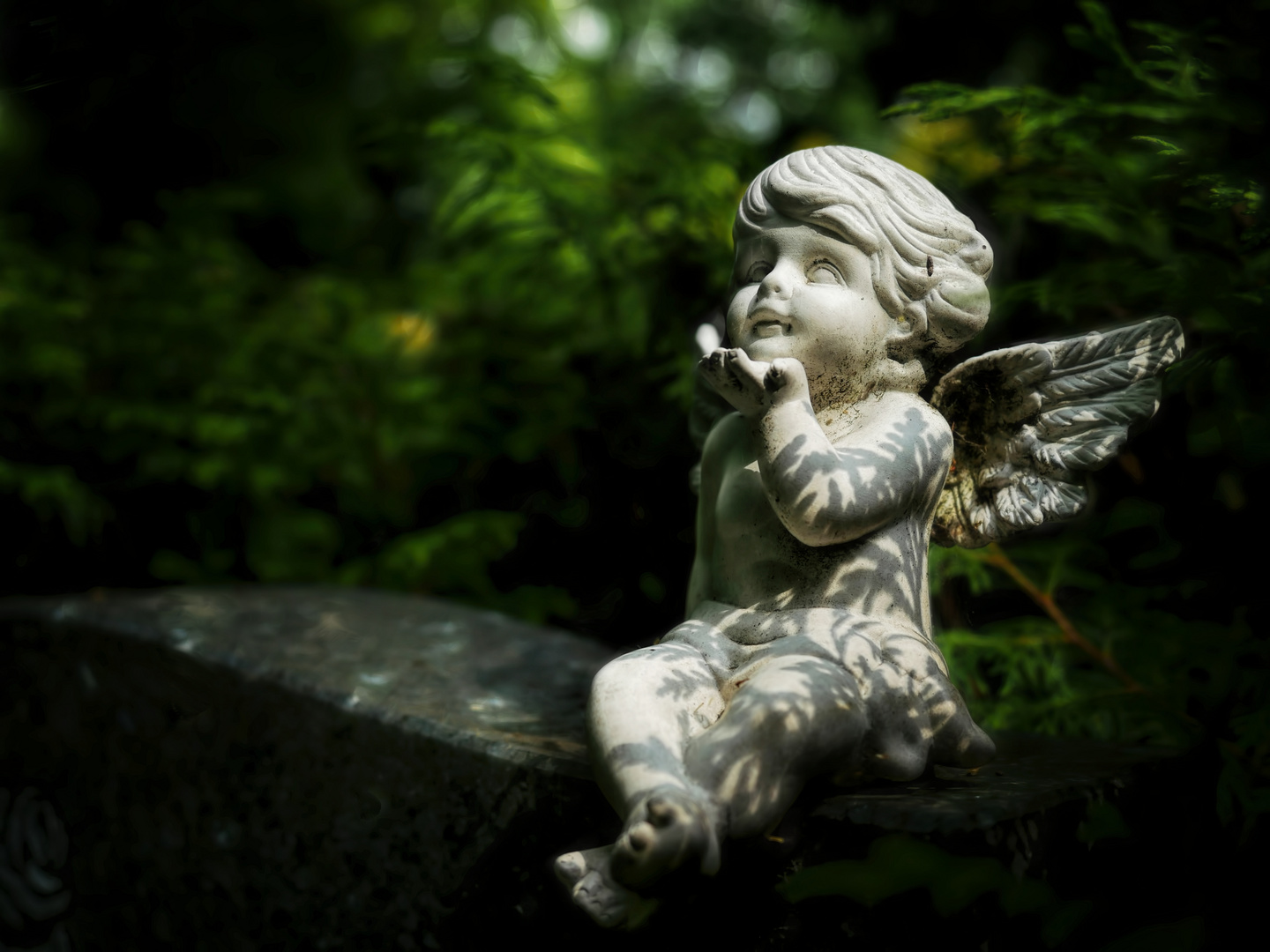 Ich Knall Euch Ab Bilder