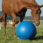 ich spiel mal Fußball