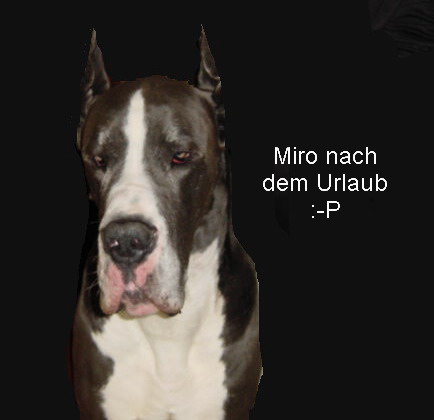 Ich spitz mal die Ohren