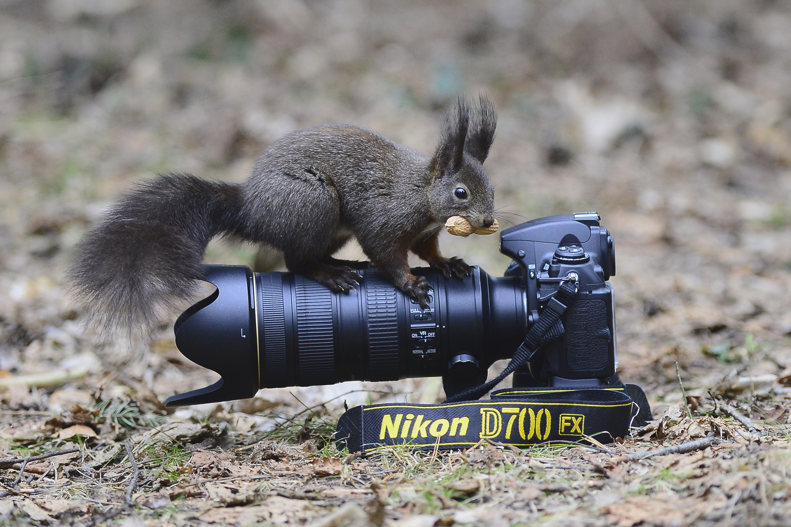 Ich steh auf Nikon!!!