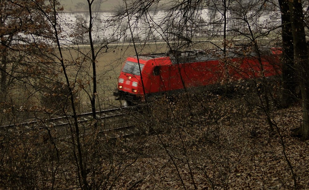 Ich steh im Wald zwischen ...