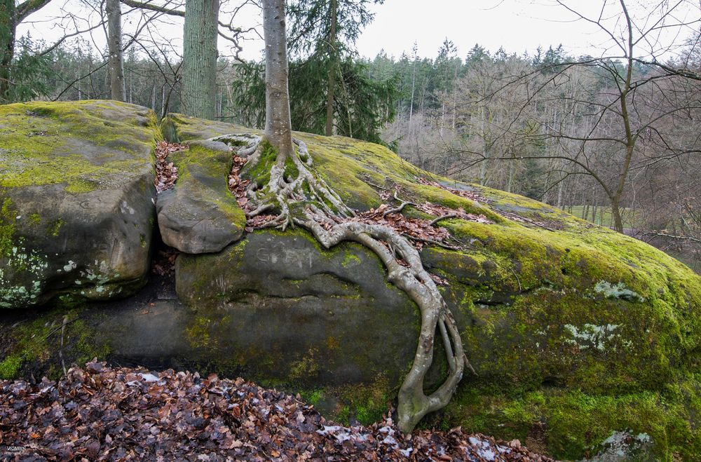 ich suche mir meinen Weg nach oben auch wenn es steinig ist.....