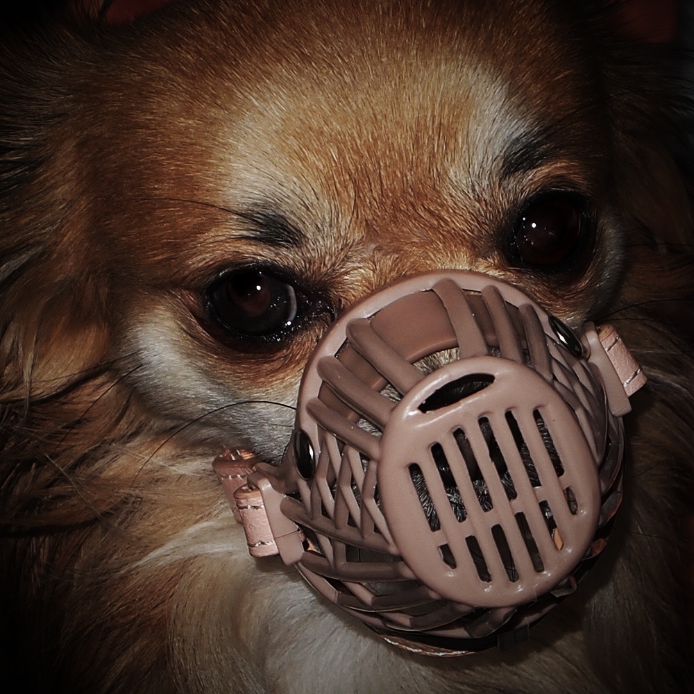 Ich traf Hannibal Lecter Foto & Bild