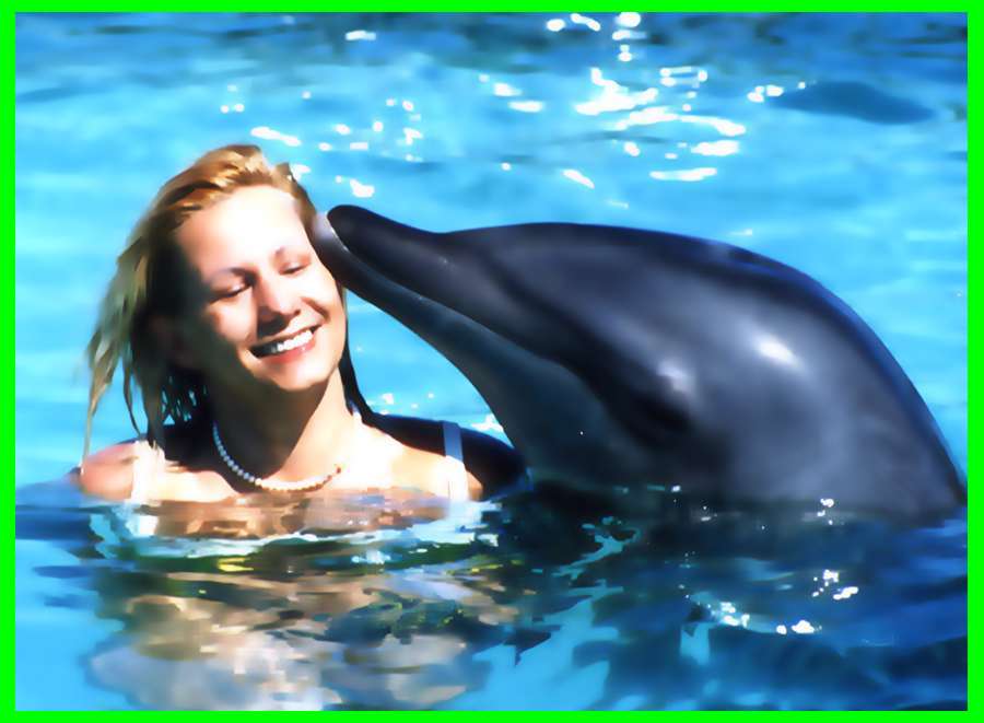 Ich und der Delphin