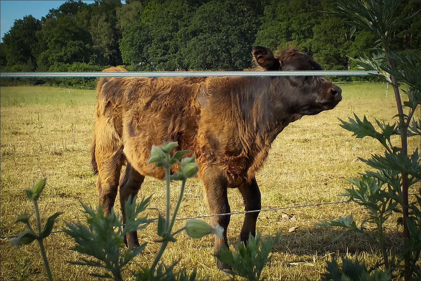 Ich und du blinde Kuh